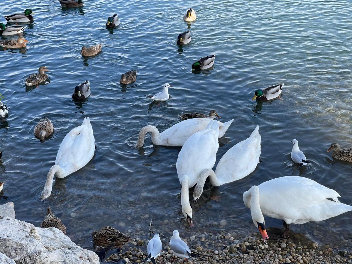 Villeneuve Loubet Plage- Entre Nice Et Cannes Экстерьер фото