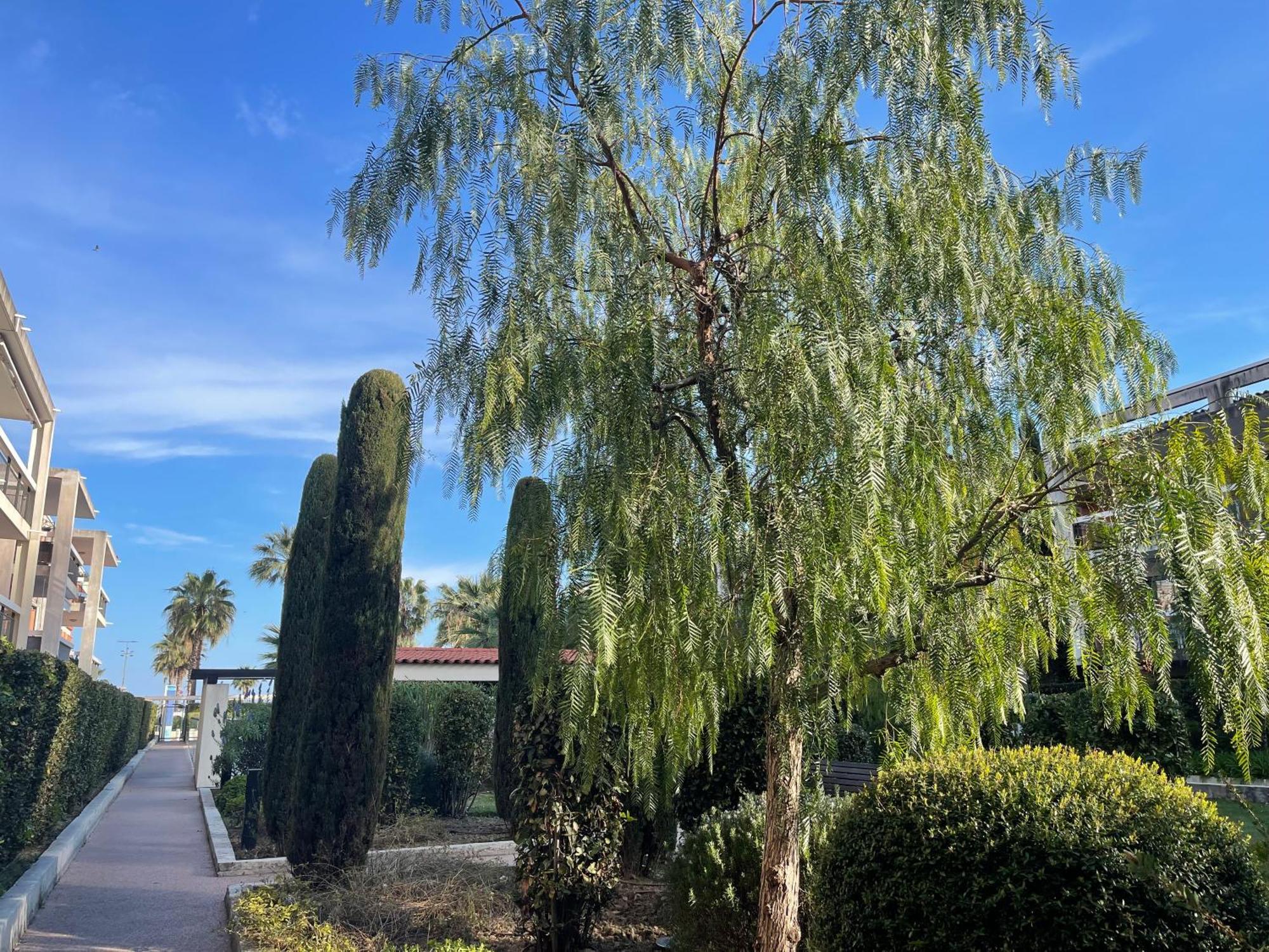 Villeneuve Loubet Plage- Entre Nice Et Cannes Экстерьер фото