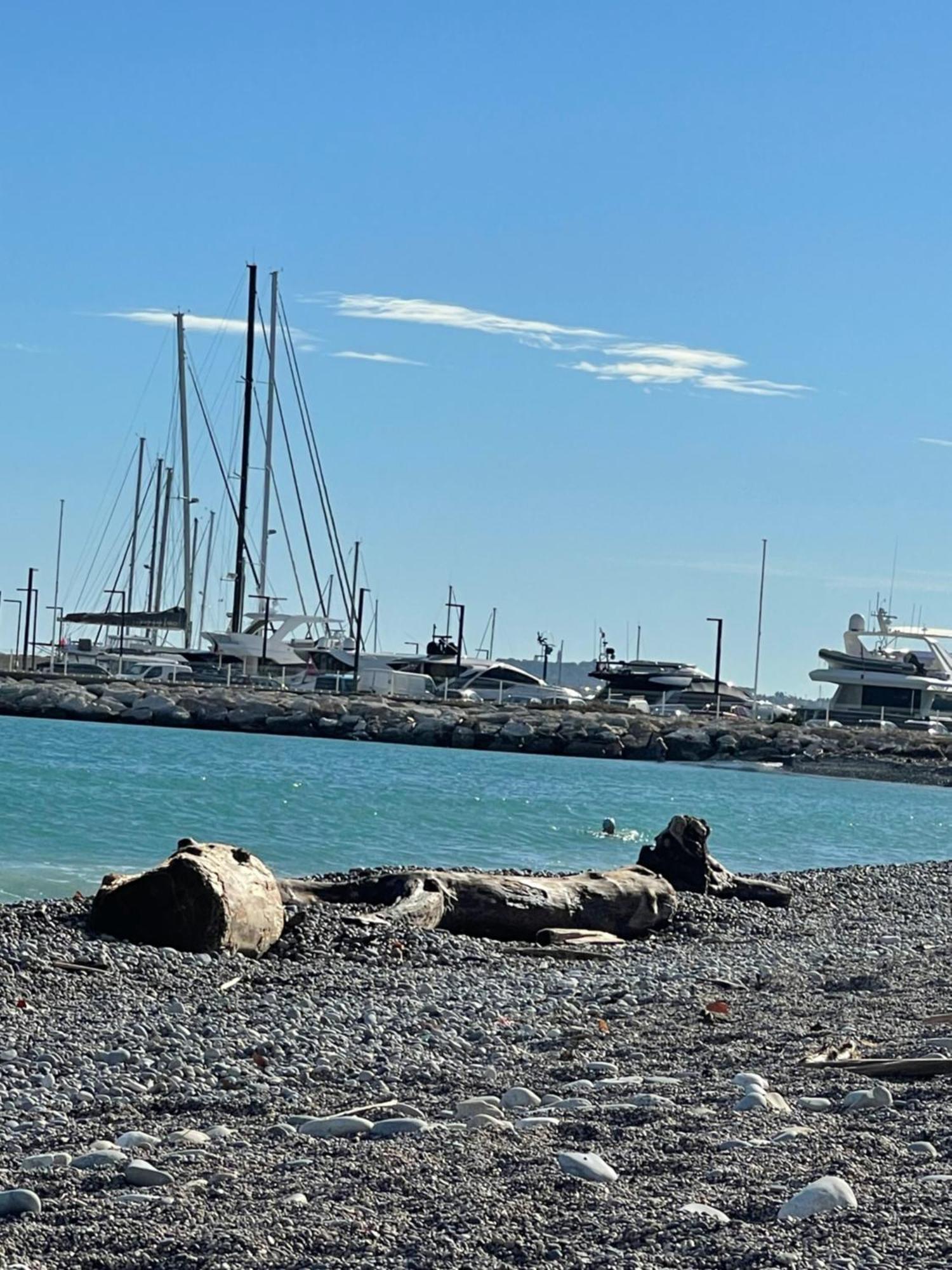 Villeneuve Loubet Plage- Entre Nice Et Cannes Экстерьер фото