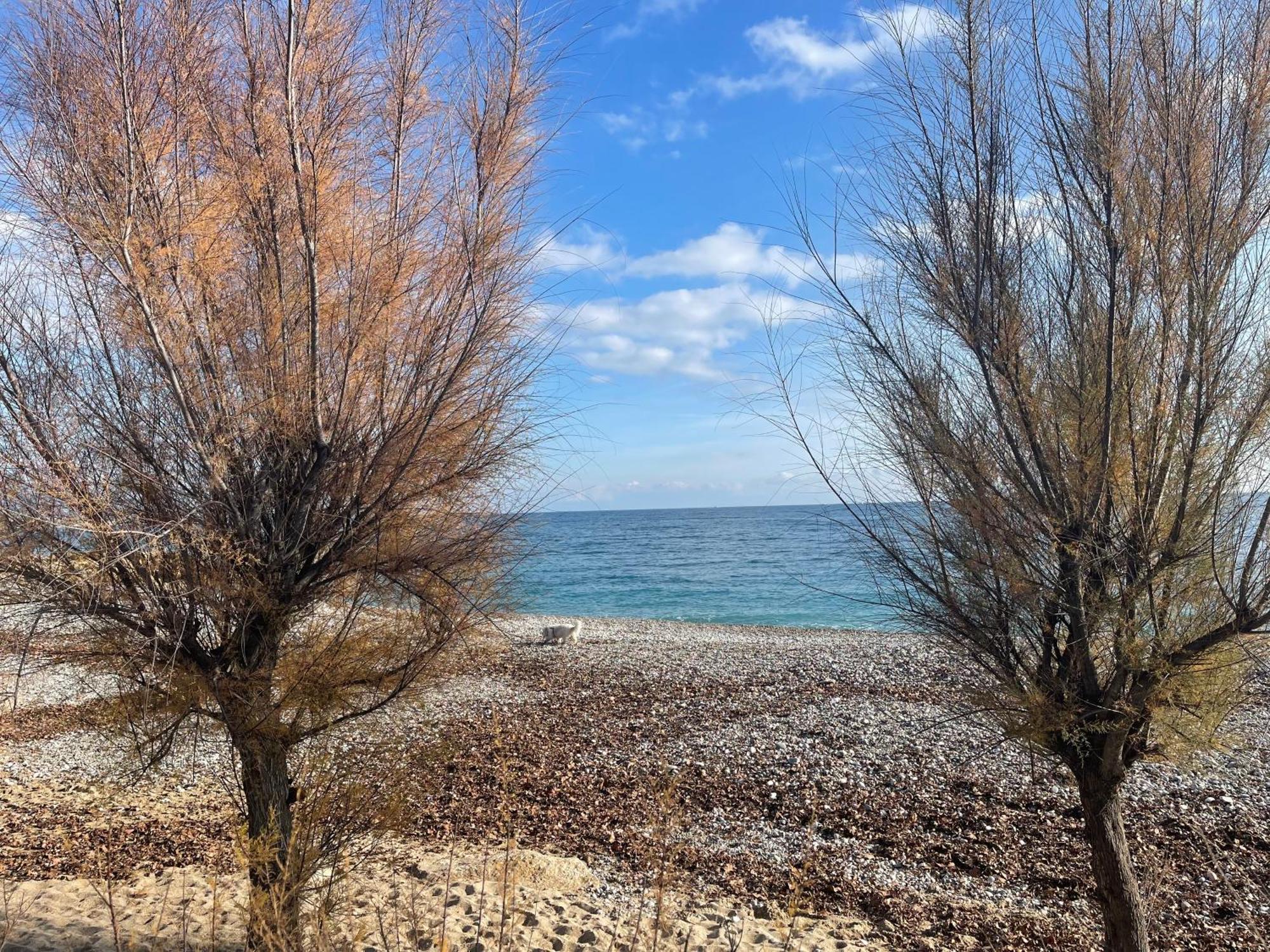 Villeneuve Loubet Plage- Entre Nice Et Cannes Экстерьер фото